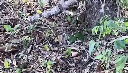 Holy shit Virgin menghancurkanku di luar ruangan di Tamil India dalam x video.