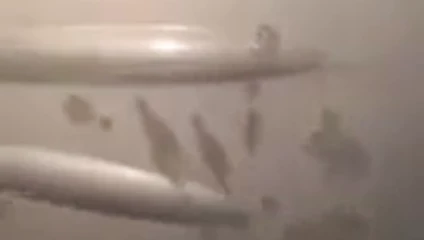 Yavaş boşalma 2