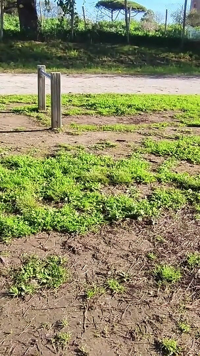 Iconic moment from "FLASHING my COCK in front a everyone in a PUBLIC PARK and my STEPDAUGHER HELPS me CUMSHOT - REAL SEX RISKY"
