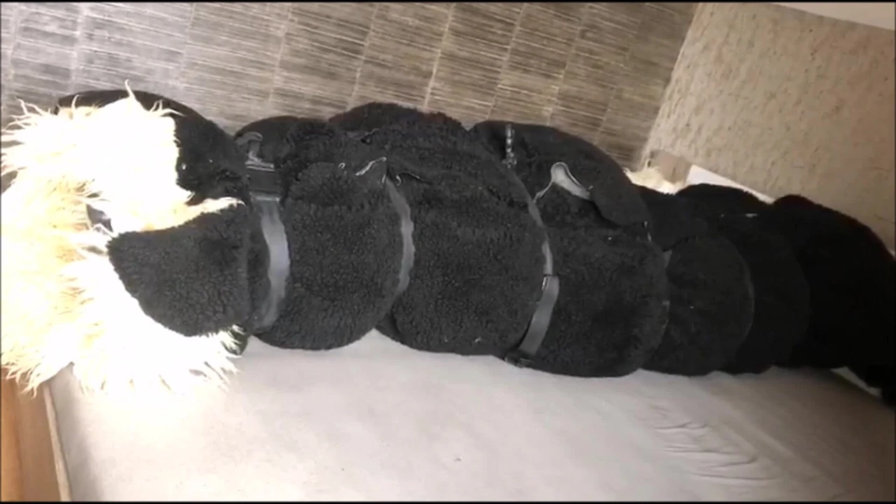 Fur orgasm 7