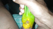 Pregled videozapisa