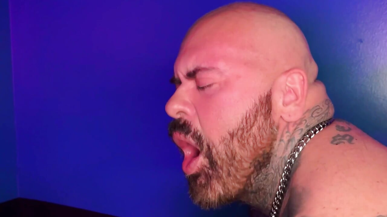 Pig Week Wreckage 4K