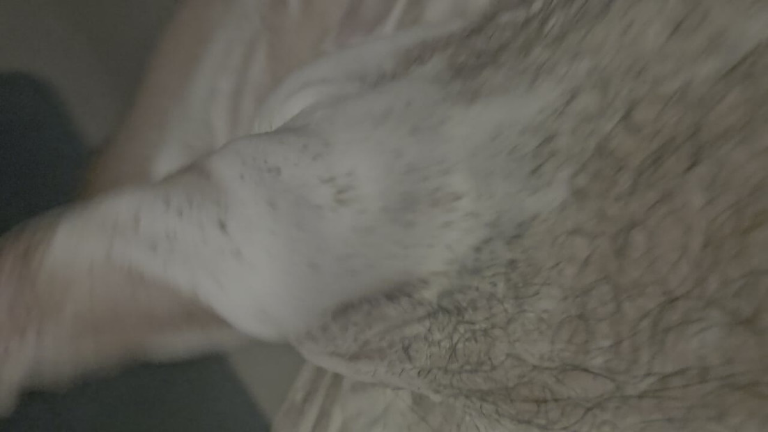Suds