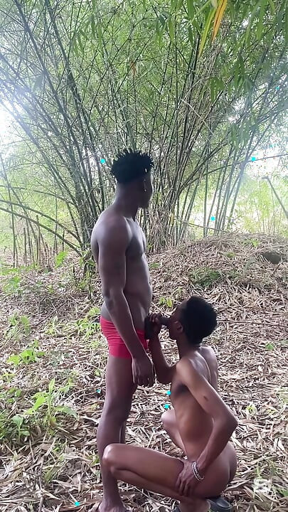 Äventyr, sex full utsikt över allt