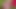 When Girls Play - Jade Baker , Sabina Rouge - Wild Flowers