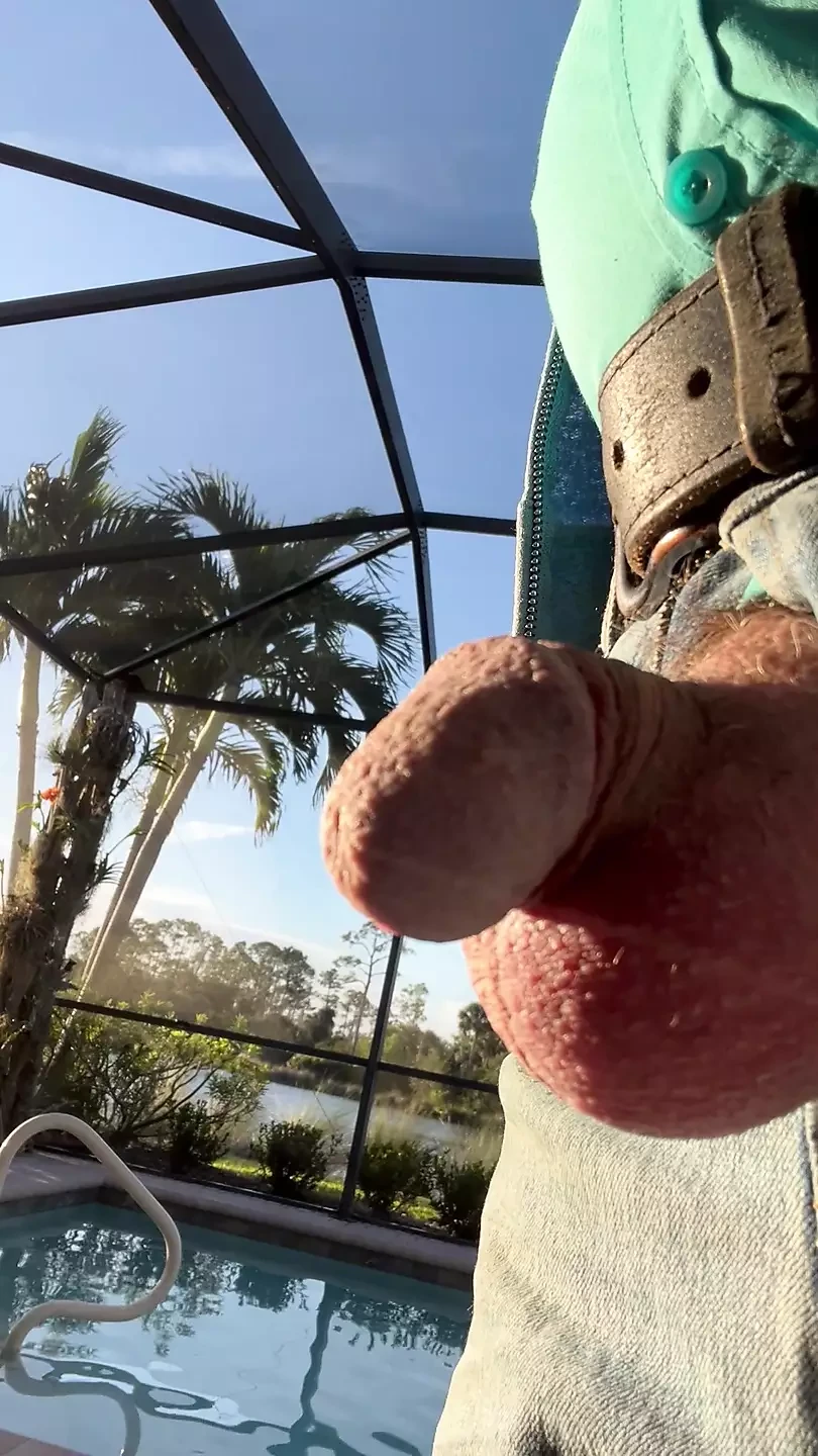 Pervert With His Penis Out For The Neighbors