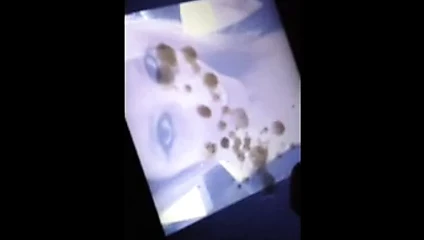 wrabbit69 için haraç