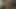 Ödül olarak yarağımı alıyor