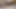 ワイルドニューハーフセックスパーティー