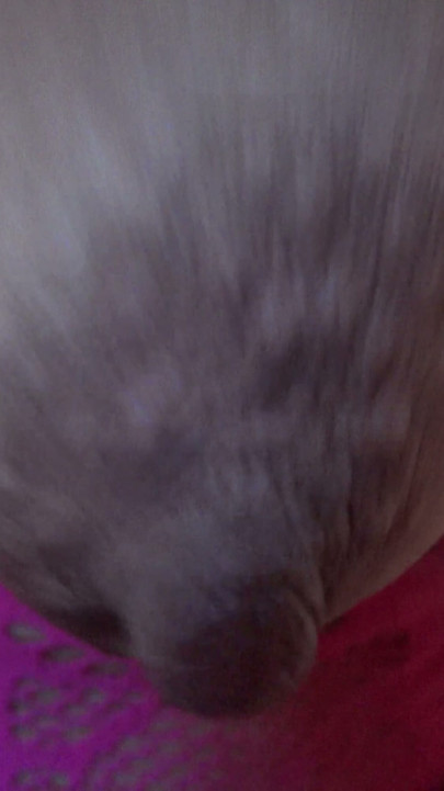 stepmother lets me cum in her mouth | Clip 1