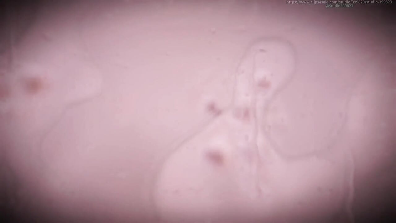 B032, ein Mann wird von zwei schönen Frauen geschrumpft und als Dildo und Kolben verwendet. Mann von der vagina geschluckt