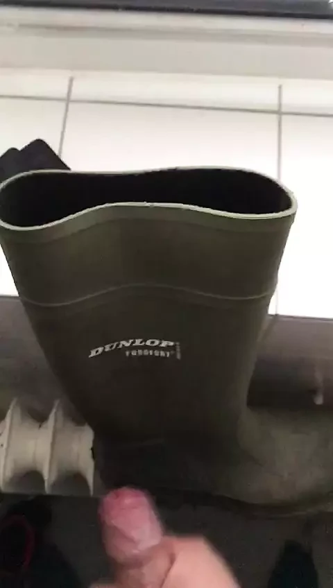 Dunlop Purofort vollwixxen
