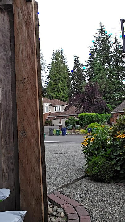 Overcast Morning and Backyard Coffee