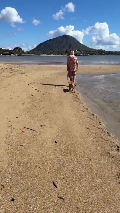 Paiko Fishpond, โออาฮูตะวันออก, ฮาวาย คลิป 1