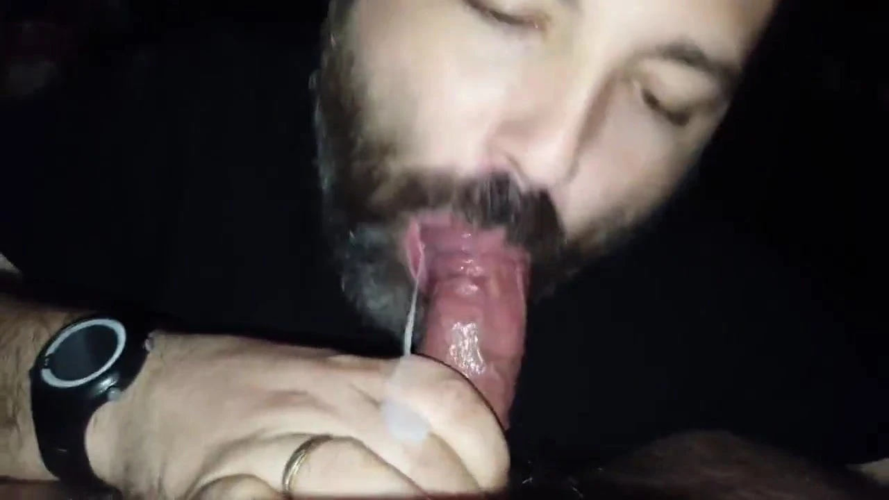 Urso gay chupa