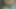 Girlfriend alone in home and ready to sex