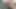 anon creampie- latino breeds young white ass in the woods