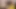 HENTAI HAREM (PORN REACTION WITH PUSSY CAM)