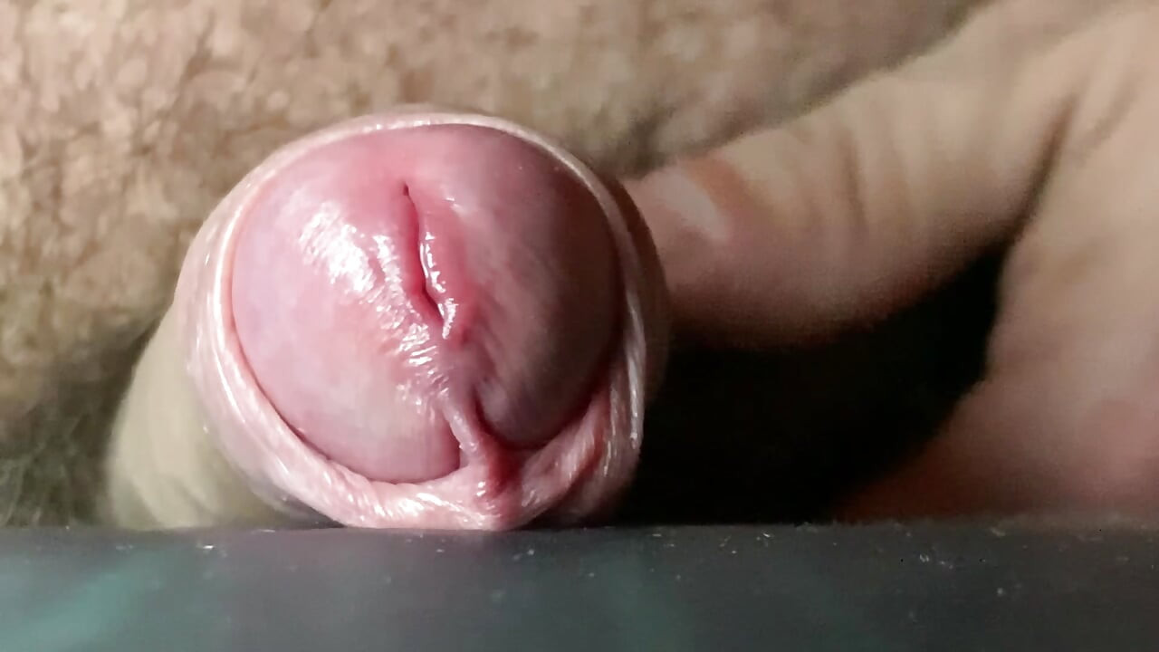 sperm