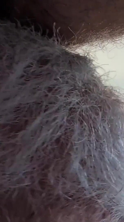 Epic moment from "Two Hairy Daddys in bed afterwork - Seattle gets bred"
