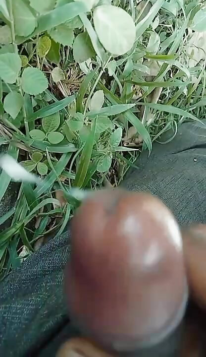 Jharkhand's black penis