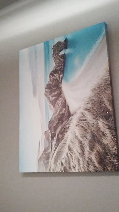 My bedroom is not a BNB but you know I am a good host when I have guests when I have invite people over and a good hot husband