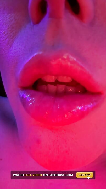 Looking for a Snuggle Buddy