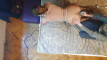 Pregled videozapisa