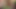 Jessie andrews &amp; arkadaşları sadık hayran dekana bir handjob verir