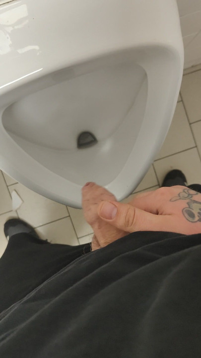 urso quente e ansioso
