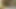 げっぷフェチ