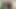 Chubby Teen BBW Gives Slutty JOI with Countdown