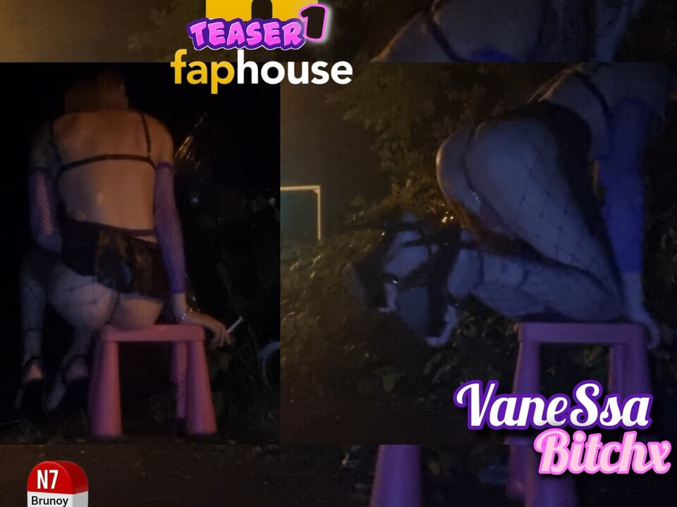 A Whore in a Mini-skirt Ras Du Cul, on the Edge of the Nationale 7 in Brunoy. 2h00 Vanessabitchx Parischiennetrvprod