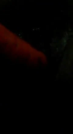 Karım biraz havuç yiyor