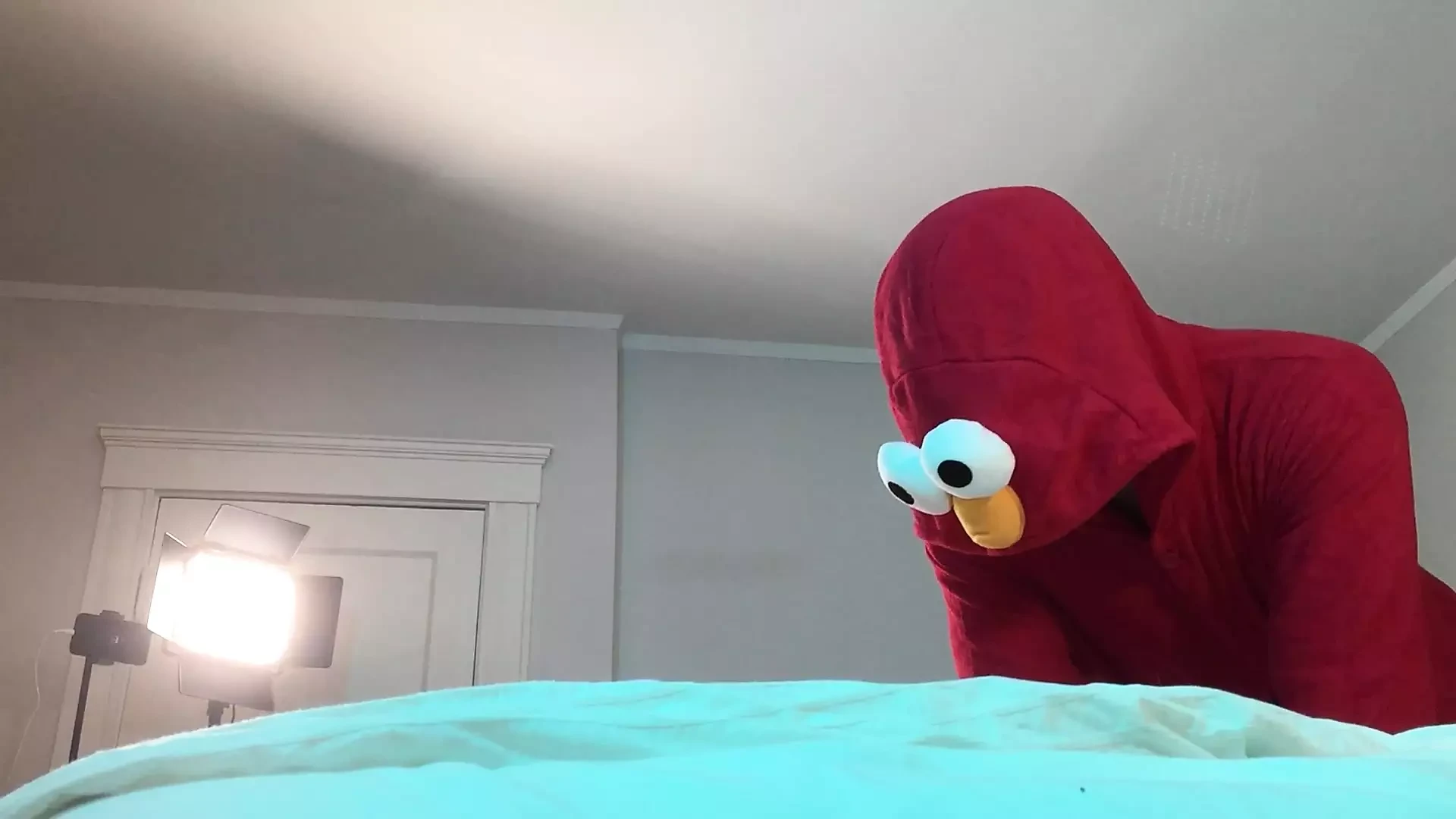 Elmo Fucks Trans in Chastity: American Shemale Amateur Amateur Porn by  Onlyfans | xHamster