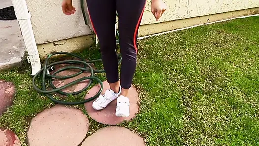 Aj applegate orales training