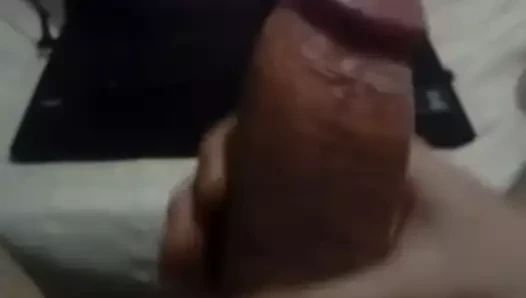 Para Leona 3