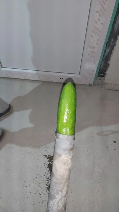 Analfick