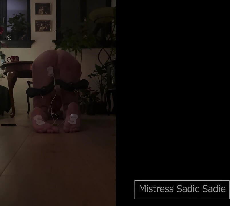 Um vídeo caseiro extremamente doloroso com Caning, Electro Play e um Humbler, ouça ele tendo problemas!