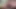 Man Jerking Out A Moaning Cumshot In The Woods