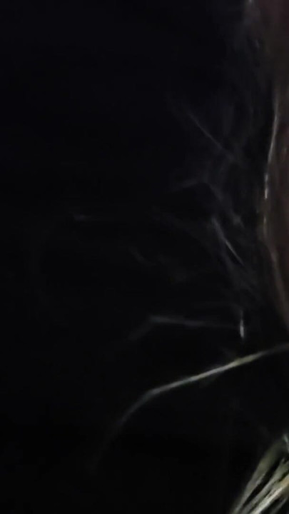 Real meia-irmã é esgueirada para o meu quarto apenas para chupar meu esperma oral ejaculação interna | Clipe 2