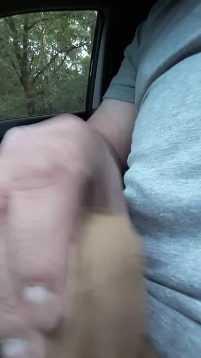 Wichsen im Auto
