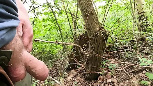 Ormanda işiyorum ve yutan bir domuz çişimi yutuyor