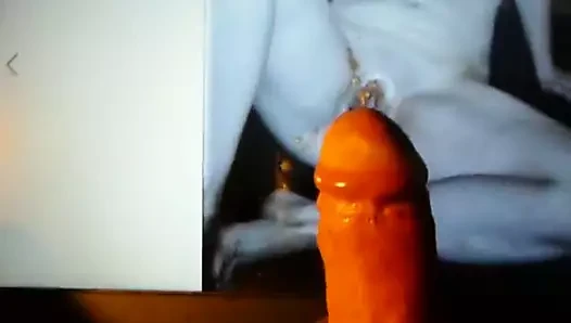 Hototod sıcak haraç itibaren