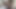Seksi susana ofis masasının üzerine eğildi