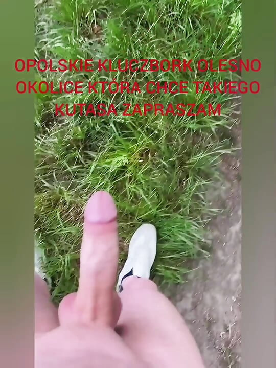 Zadbany Kutas