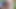 Tuosotexl: Cruisimg with Two Men in the Forest