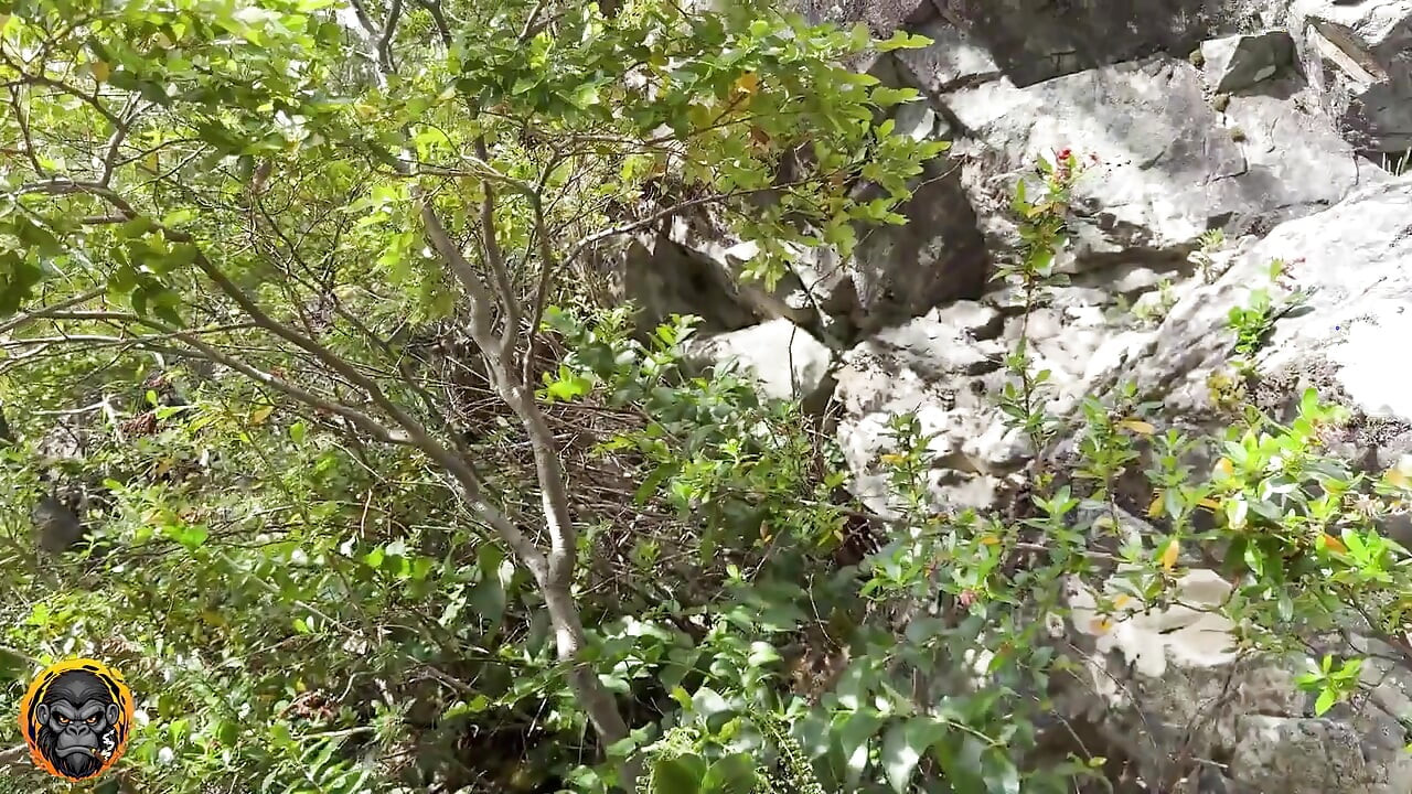 I'm Going to Have Sex with Her in the Woods... I Hope Nobody Saw Us Ft. Albx09