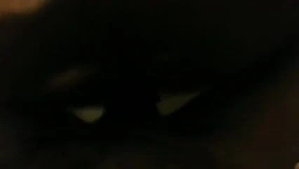 good pussy :)