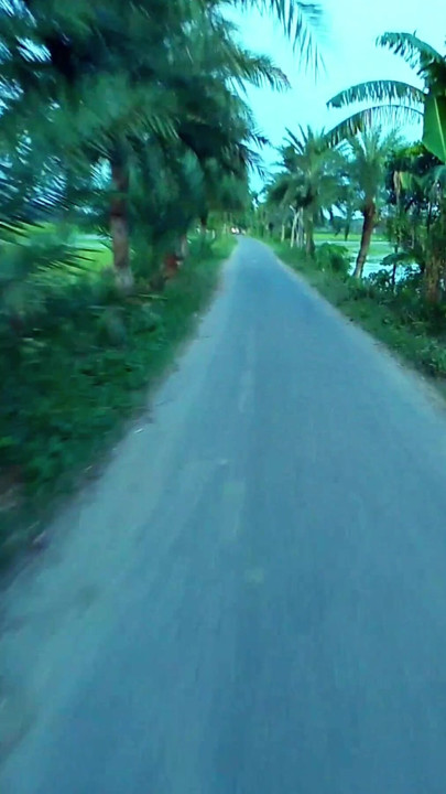 Nice scenery